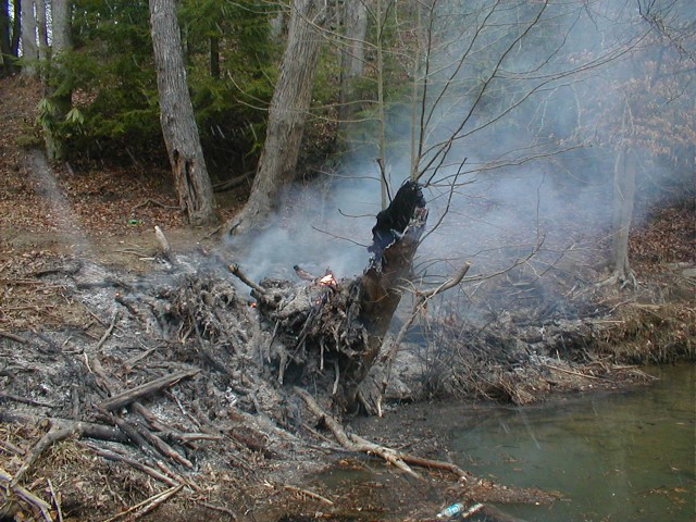 BRUSH FIRE PENTACRE 3/12/09